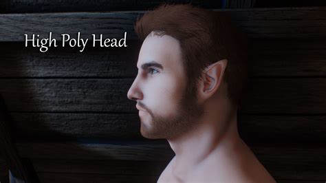 High Poly Head For Custom Races .